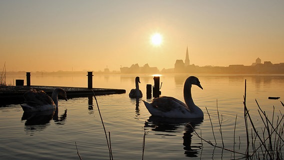 Sonnenaufgang im Rostocker Stadthafen © NDR Foto: Thomas Seidel aus Hennigsdorf