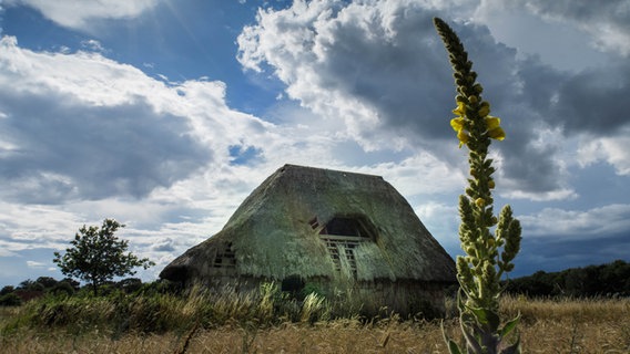 Verfallenes Haus © NDR Foto: Ralph Gröger aus Neubrandenburg