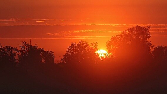 Sonnenaufgang © NDR Foto: Karl-Heinz Fritschek aus Neubrandenburg
