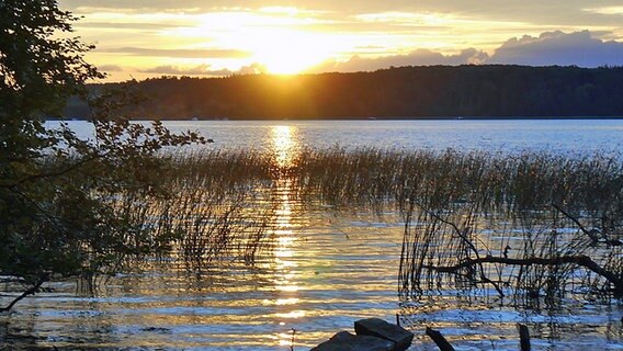 Die untergehende Sonne spiegelt sich im Wasser. © NDR Foto: Diana Köppe aus Malchow