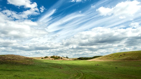 Weiter Blick über eine Landschaft © NDR Foto: Norbert Brandt aus Neubrandenburg