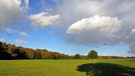 Mit wolkenbedeckter Himmel über einer grünen Wiese. © NDR Foto: Norbert Brandt aus Neubrandenburg