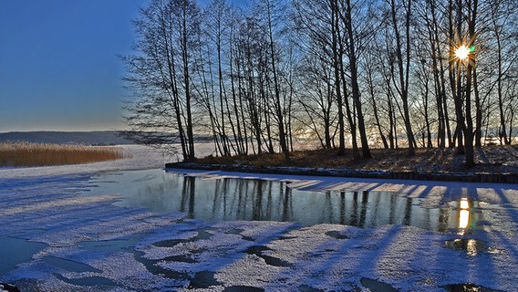 Die Sonne strahlt durch einige Bäume einer Landzunge am zugefrorenen See © NDR Foto: Werner Bayer aus Neubrandenburg