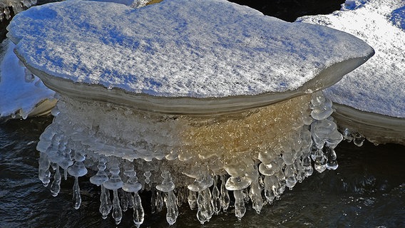 Bizarre Eisformen an einem Bach © NDR Foto: Werner Bayer aus Neubrandenburg