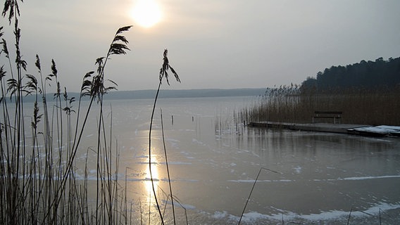 Eis auf dem Großen Labussee bei Zwenzow © NDR Foto: Rainer Zwein aus Wesenberg