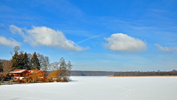 Verschneiter Luzinsee bei schönem Wetter © NDR Foto: Norbert Brandt aus Neubrandenburg