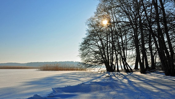 Die Sonne scheint über einem mit Schnee bedecktem See © NDR Foto: Norbert Brandt aus Neubrandenburg