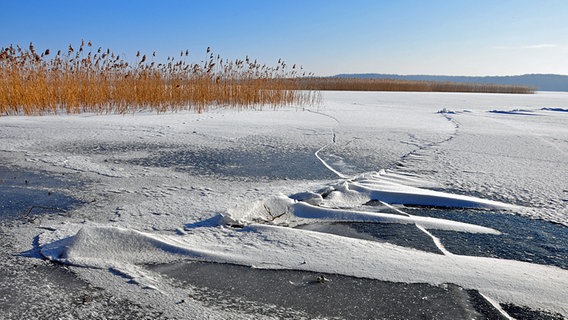 Das Eis auf einem zugefrorenen See hat lange Risse © NDR Foto: Norbert Brandt aus Neubrandenburg