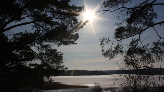 Blick auf einen zugefrorenen See. © NDR Foto: Elke Hellwig aus Schwerin