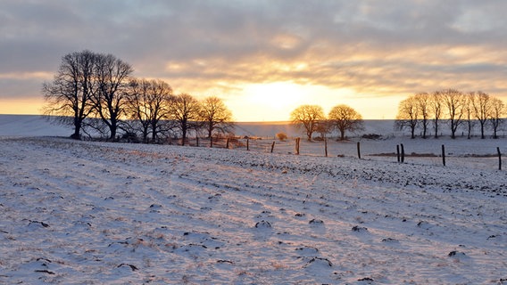 Die Sonne geht über einem verschneiten Feld auf. © NDR Foto: Norbert Brandt aus Neubrandenburg