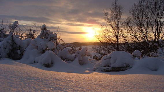 Winterliche Landschaft © NDR Foto: Juliane Wandt aus Gützkow