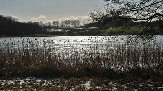 Keezer See bei Sonnenschein und Eisschicht. © NDR Foto: Renate Reinbothe aus Thurow