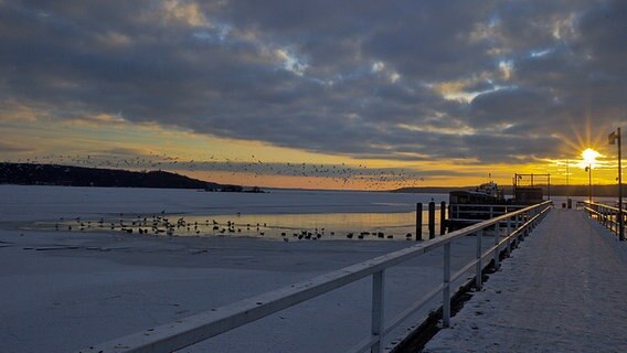 Wintersonnenuntergang am Tollensesee © NDR Foto: Elke Riedel aus Neubrandenburg