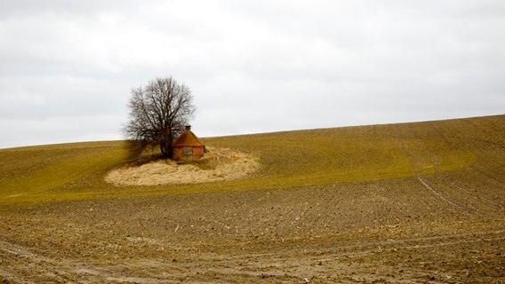 Auf einem Feld steht ein kleines Häuschen. © NDR Foto: Martin Kaßner aus Altentreptow