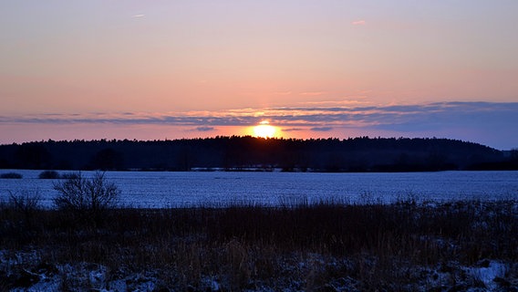 Ein Sonnenaufgang bei frostigem Wetter © NDR Foto: Julia Knuth Schwartbuck