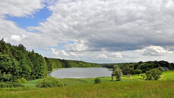 Bornsee © NDR Foto: Norbert Brandt Neubrandenburg