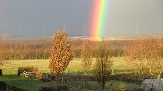 Ein Regenbogenanfang am Rande der A 20. © NDR Foto: Uwe Hennig aus Brunn