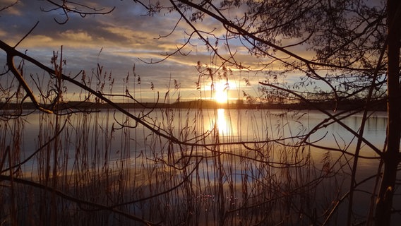 Sonnenaufgang über der Müritz © NDR Foto: Helmut Dreier aus Waren/Müritz