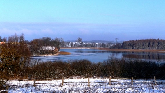 Eine Winteridylle am Schönhauser See © NDR Foto: Astrid Mischke aus Schönhausen