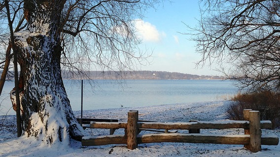 Blick vom Hundestrand Augustabad des Tollensesee © NDR Foto: Martin Hähnel aus Neubrandenburg