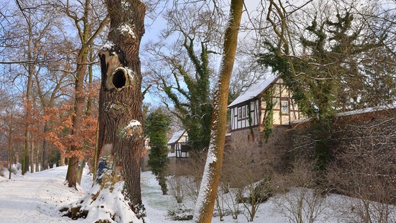 winterliche Wallanlage in Neubrandenburg © NDR Foto: Gerhard Rosenfeld aus Neubrandenburg