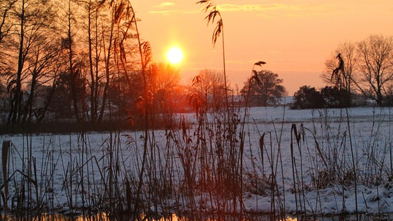 Sonnenuntergang bei Kieve © NDR Foto:  Susan Ebel aus Vipperow