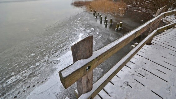 Vogelspuren sind auf der Eisdecke zu sehen. © NDR Foto: Werner Bayer aus Neubrandenburg