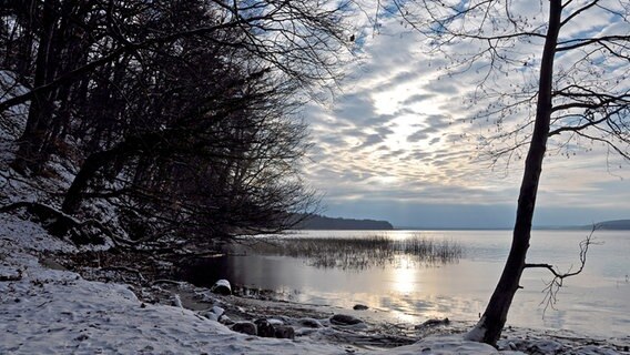 Winterimpressionen am Tollensesee © NDR Foto:  Norbert Brandt aus Neubrandenburg