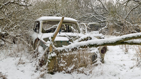 Ein verrottender Trabbi steht tief verschneit im Unterholz © NDR Foto: Philipp Blank aus Neubrandenburg