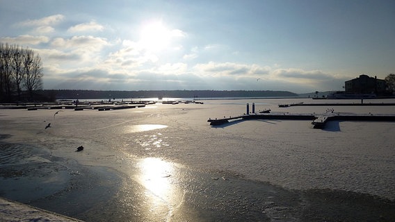 Eisbedeckter Hafen © NDR Foto: Sylvia Müller aus Waren/Müritz