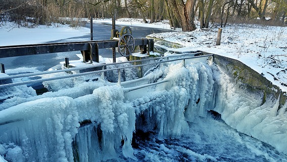 Starke Vereisungen am Wasserfall der Zirzower Mühle © NDR Foto: Gerhard Rosenfeld aus Neubrandenburg