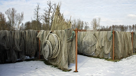 Fischernetze überdauern den Winter an der Luft © NDR Foto: Hermann von Zastrow aus Plau am See