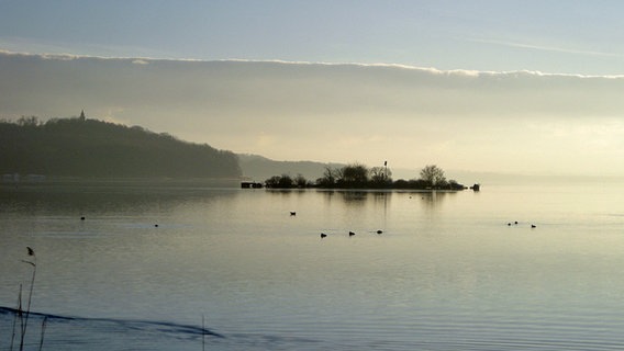 Blick über den Tollensesee auf Behmshöhe © NDR Foto: Dr. Ingolf Friede aus Neubrandenburg