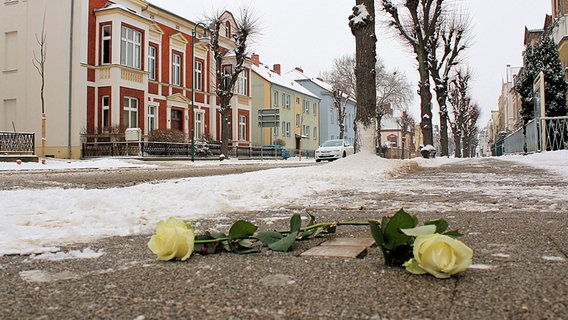 Zwei Rosen liegen neben zwei Stolpersteinen © NDR Foto: Wilfried Baganz aus Neustrelitz