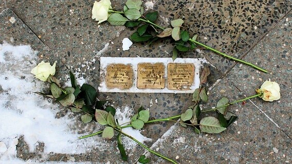 Drei weiße Rosen liegen an den Stolpersteinen in Neustrelitz. © NDR Foto: Wilfried Baganz aus Neustrelitz