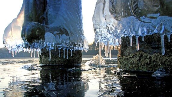 An der Steganlage in Nonnenhof hat sich eine dicke Eisschicht gebildet. © NDR Foto: Karsten Hillmann aus Neubrandenburg