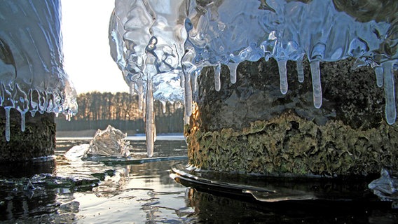 Eisskulpturen an der Bootsanlage in Nonnenhof © NDR Foto: Karsten Hillmann aus Neubrandenburg