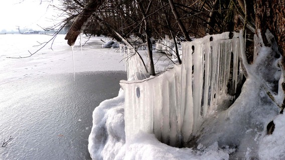 Eiszapfen an der Müritz © NDR Foto:  Reiner Werner aus Waren