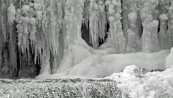Dicke große Eiszapfen am Wasserfall im Malliner Bach © NDR Foto: Karsten Hillmann aus Neubrandenburg