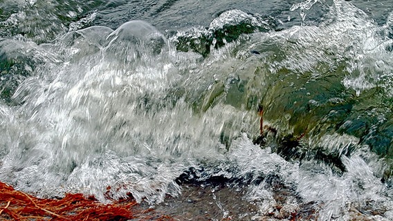 Eine Welle rollt auf das Ufer des Tollensesees. © NDR Foto: Helgard Schnabel aus Neubrandenburg