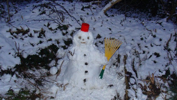 Schneemann im Garten © NDR Foto: Brigitte Dorsch aus der Feldberger Seenlandschaft