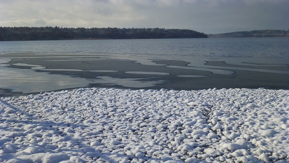 winterliche Binnenmüritz © NDR Foto: Sylvia Müller aus Waren