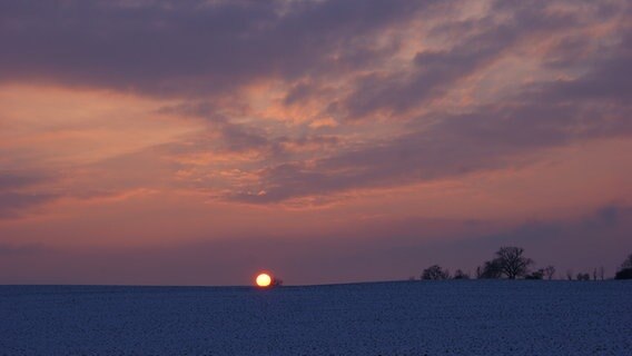 rot-blauer Sonnenuntergang über Feld © NDR Foto: Loreen Ruckick aus Deven