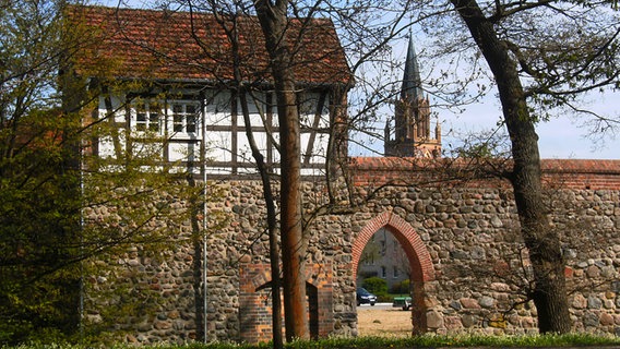 Die Wallanlage und das Wieckhaus in Neubrandenburg. © NDR Foto: Martin Hähnel aus Neubrandenburg