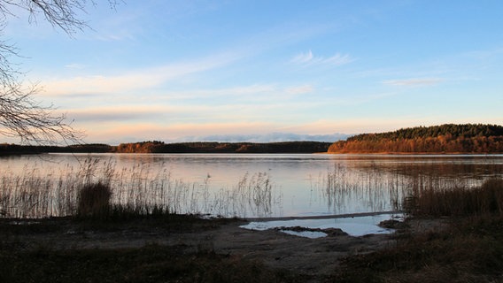 See mit Waldufer © NDR Foto: Wilfried Baganz aus Neustrelitz