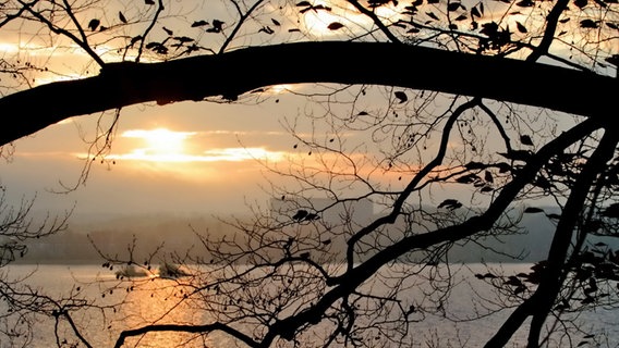 Licht in Pastelltönen, morgens am Tollensesee © NDR Foto: Helgard Schnabel aus Neubrandenburg