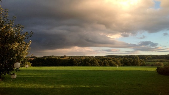 Tief hängende Wolken über einer Wiesenlandschaft. © NDR Foto: Regina Köpp aus Rambow