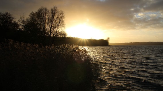 Sonnenuntergang über dem Tollensesee © NDR Foto: Wilfried Baganz aus Neustrelitz