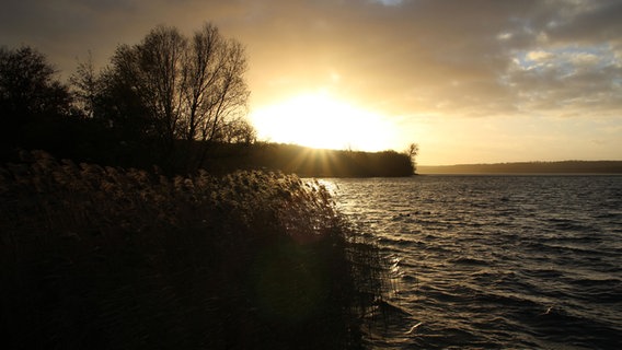 Sonnenuntergang über dem Tollensesee © NDR Foto: Wilfried Baganz aus Neustrelitz