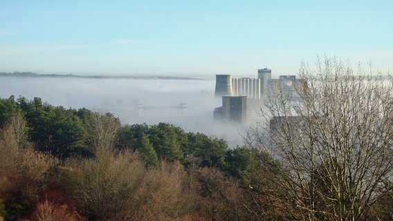 Morgennebel über Neubrandenburg © NDR Foto: Marie-Luise Otto aus Neubrandenburg